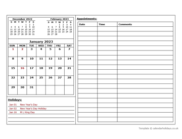 Monthly Appointment Calendar